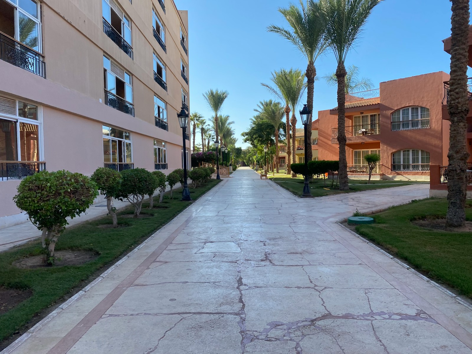Palm-lined street in Hurghada, Egypt