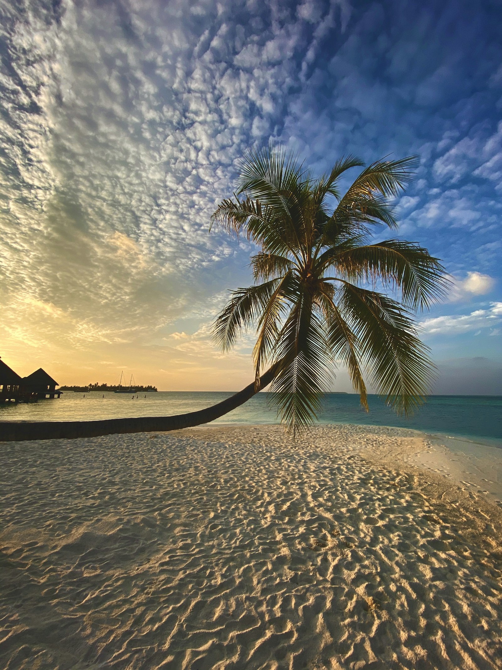 Red Sea coastline at golden hour